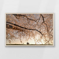 PN-093W062