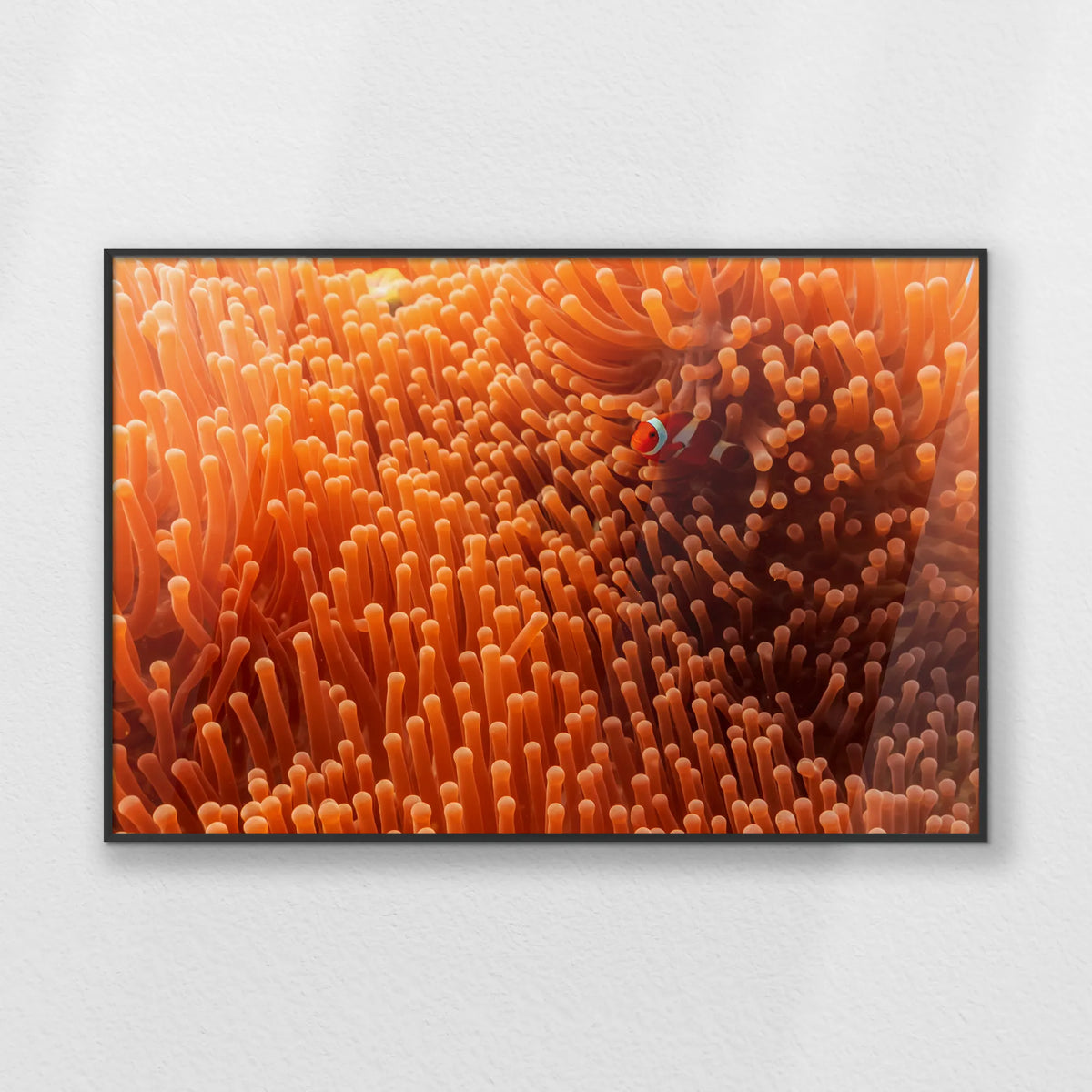 PB-093W062
