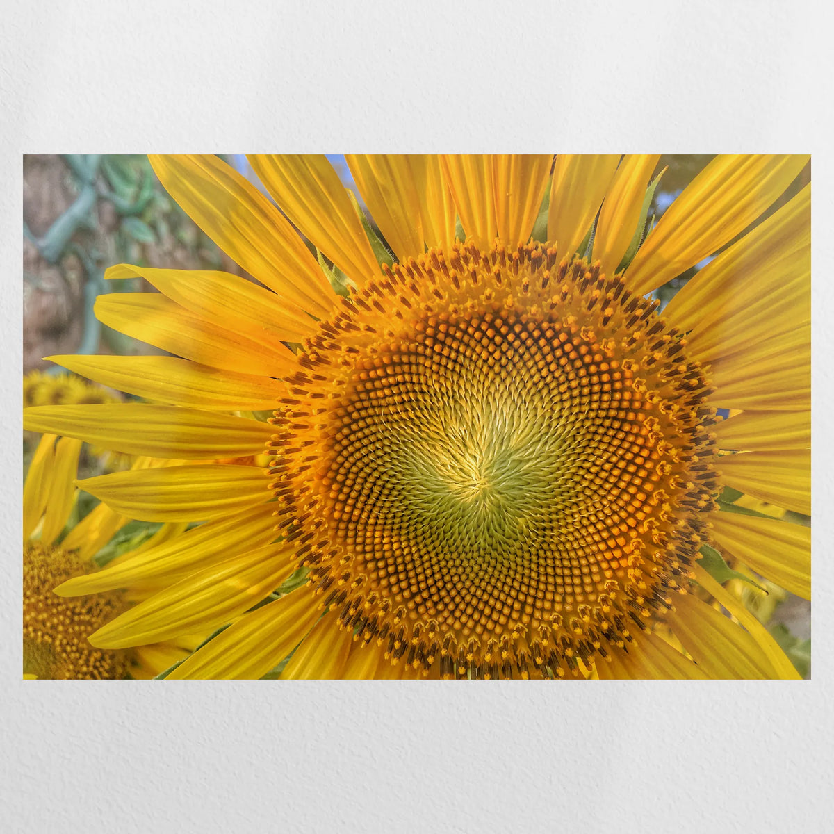 PO-120W080