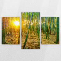 LW-180T120