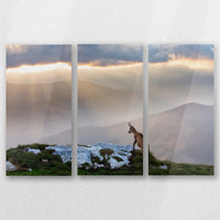 AC-060R040