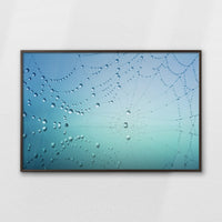 LWN120W080