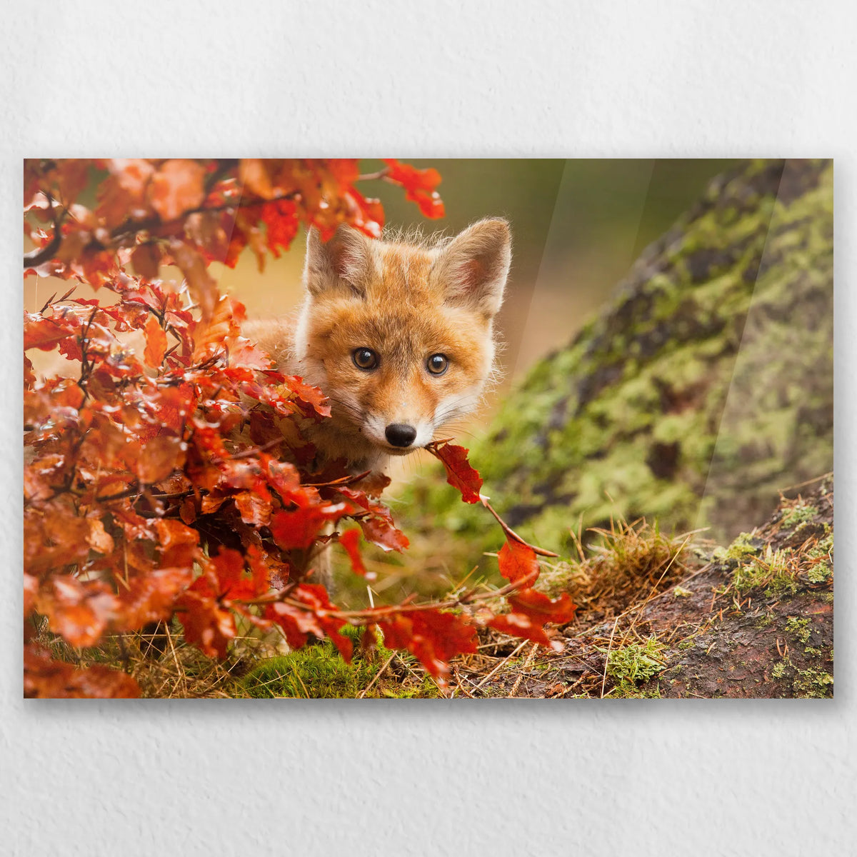 AC-030W020