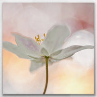 LW-090W090