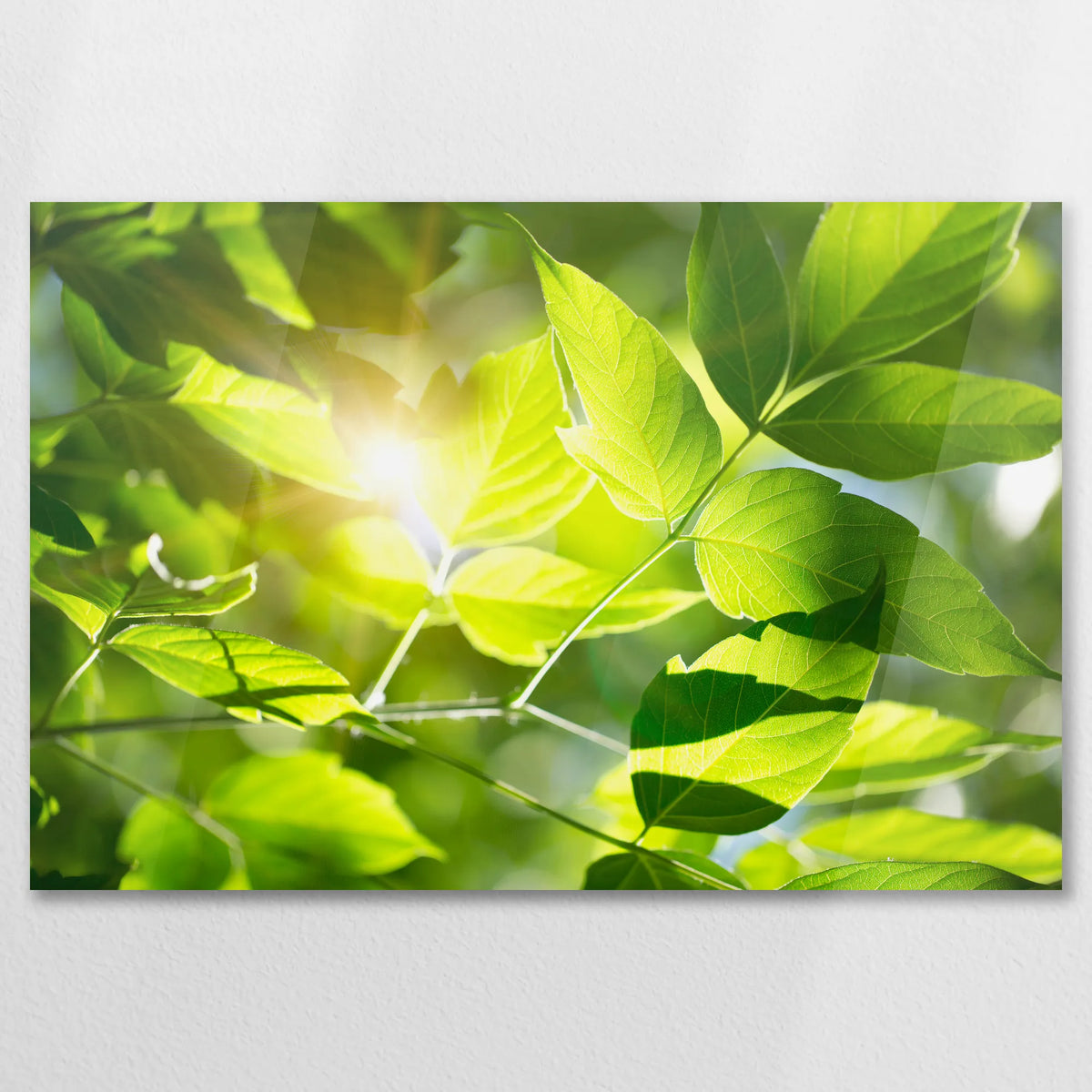 AC-075W050
