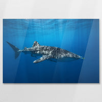 AC-090W060