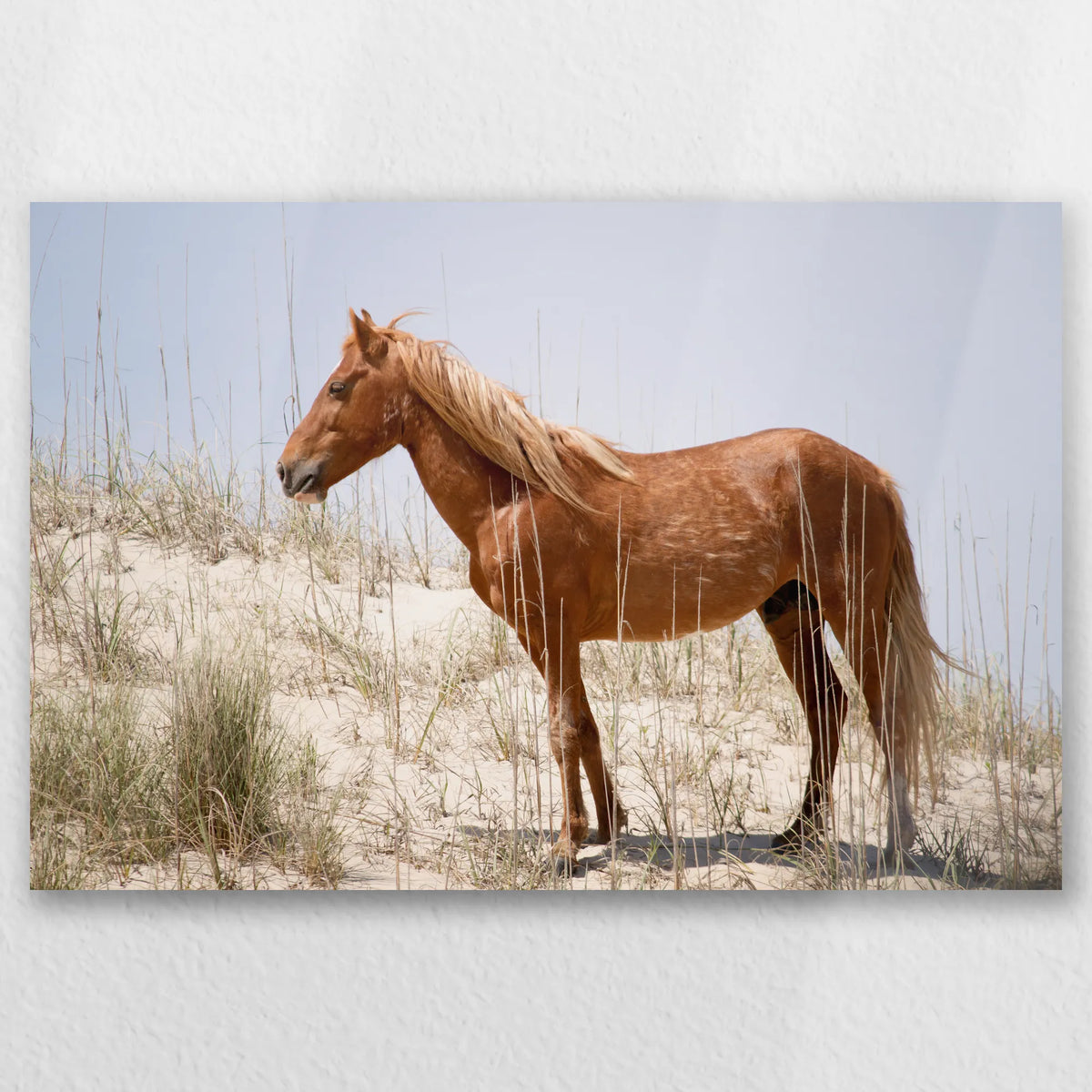 AL-060W040