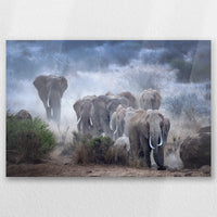 AC-030W020