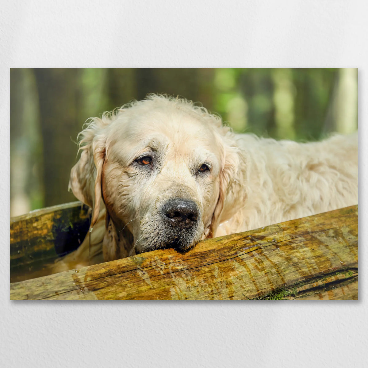 AL-090W060