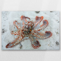 AL-030W020