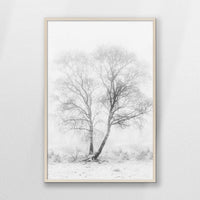 PN-070W100