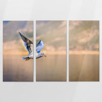 AC-180R120