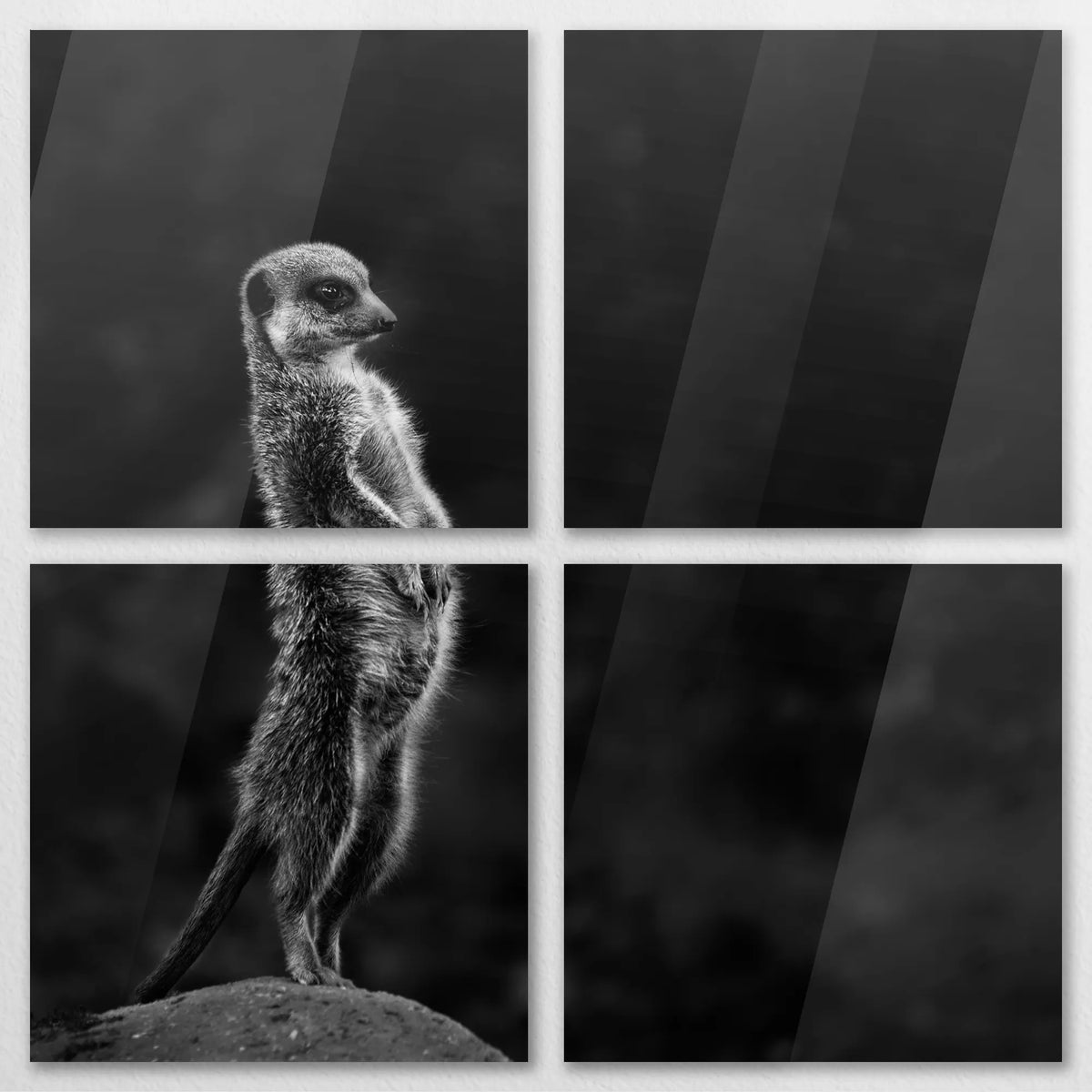 AC-120V120