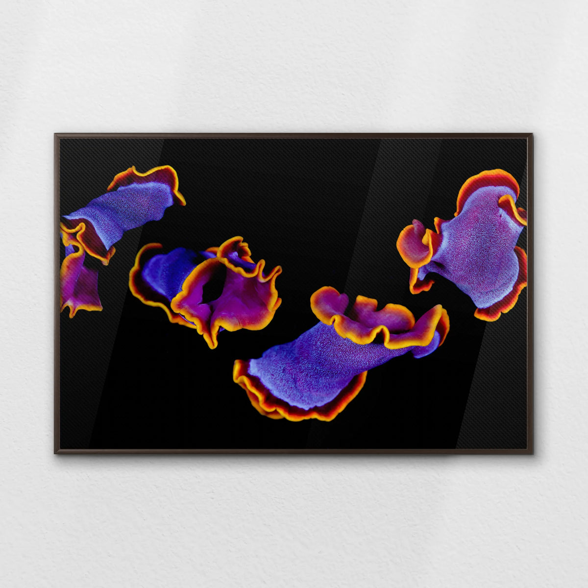 LWN120W080