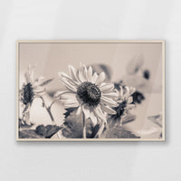 PN-100W070