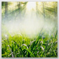 AC-040W040