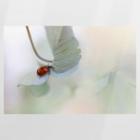 PO-120W080