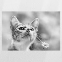 PO-045W030