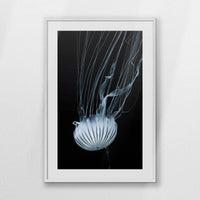 PWP070W100