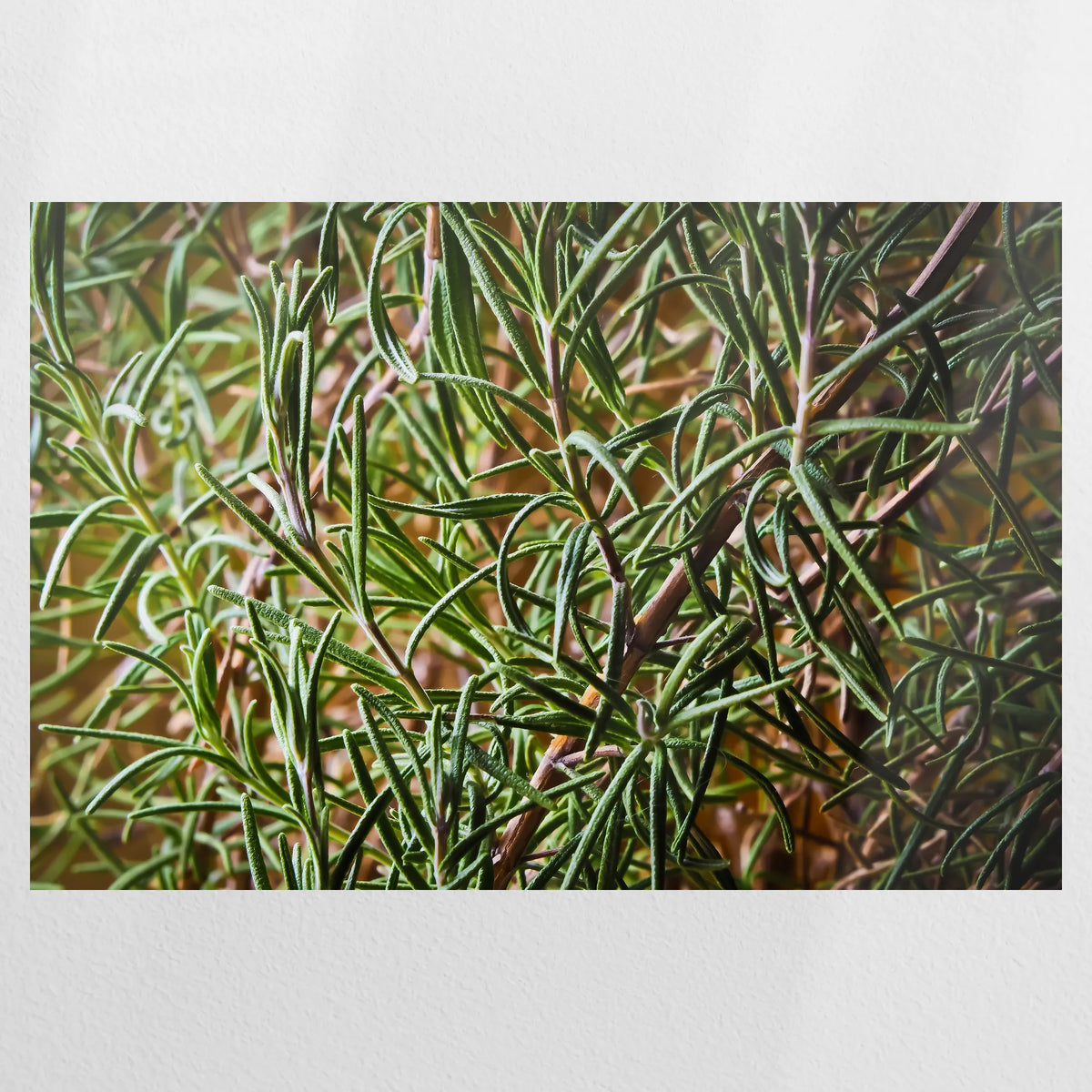 PO-075W050