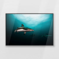 PB-093W062