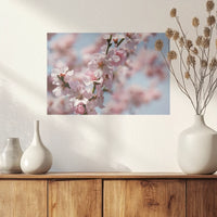PO-045W030