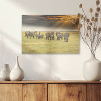 AC-045W030