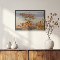 PB-060W040