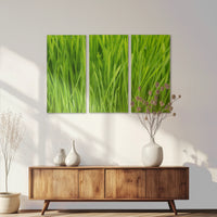 AC-120R080