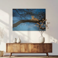 AL-090W060
