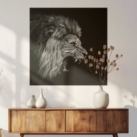 PO-080W080