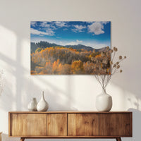 AL-075W050