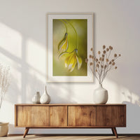 PNP062W093