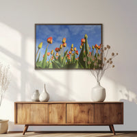 LWN100W070