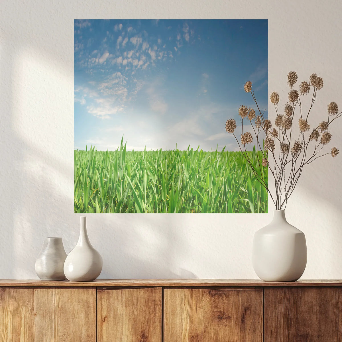 PO-050W050