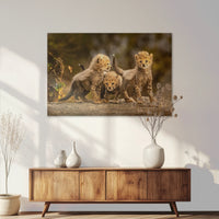 AC-120W080