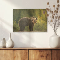 AL-045W030