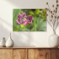 AC-045W030
