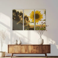 LW-120R080