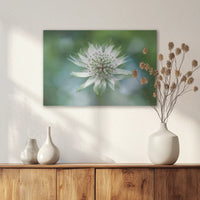 AL-060W040