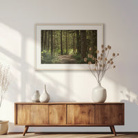 PNP093W062
