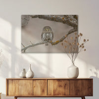 LW-075W050