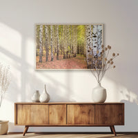 PN-093W062