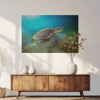 PO-090W060
