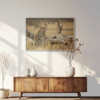 LWW120W080