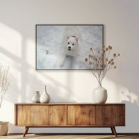 PB-093W062