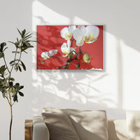 PS-093W062