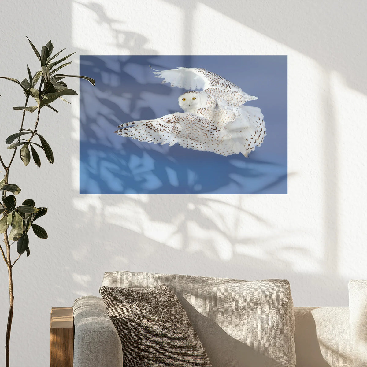 PO-045W030