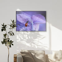 PB-120W080