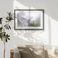 PKP060W040